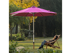 斯（sī）肯特中柱傘